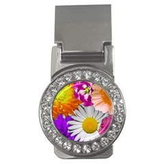 Lovely Flowers,purple Money Clip (cz) by ImpressiveMoments