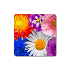 Lovely Flowers, Blue Magnet (square) by ImpressiveMoments