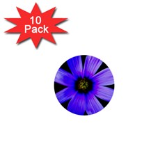 Purple Bloom 1  Mini Button (10 Pack) by BeachBum