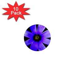 Purple Bloom 1  Mini Button Magnet (10 Pack) by BeachBum