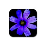 Purple Bloom Drink Coasters 4 Pack (Square) Front