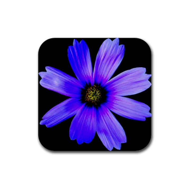 Purple Bloom Drink Coasters 4 Pack (Square)