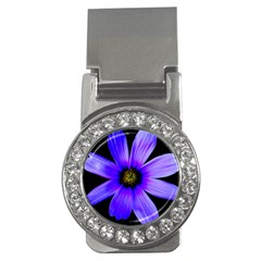 Purple Bloom Money Clip (cz) by BeachBum