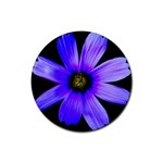 Purple Bloom Drink Coasters 4 Pack (Round) Front