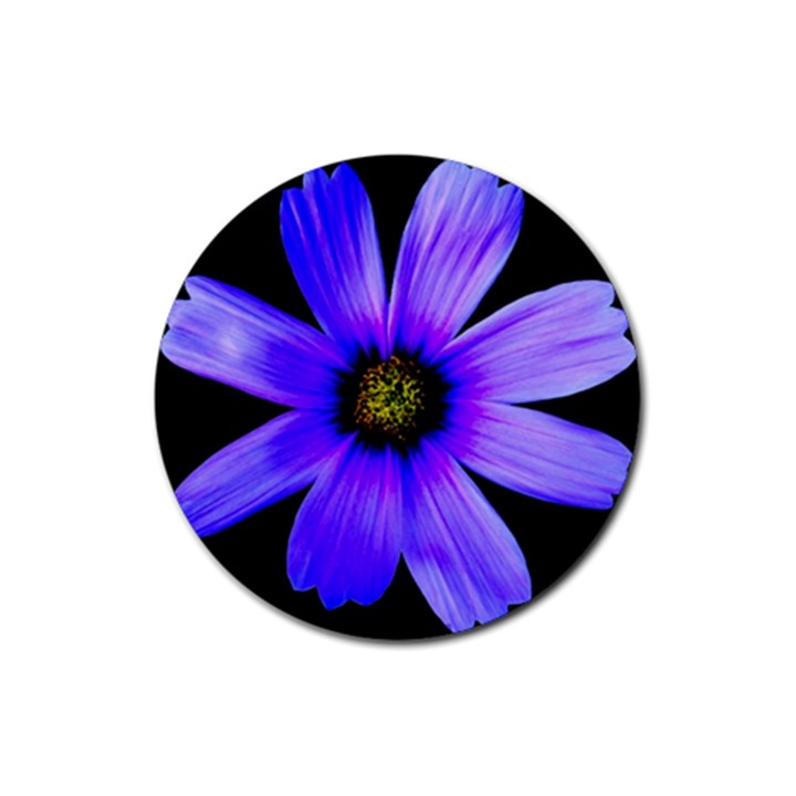 Purple Bloom Drink Coasters 4 Pack (Round)