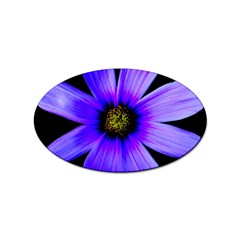 Purple Bloom Sticker 10 Pack (oval)