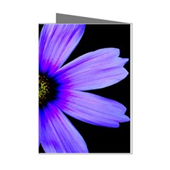 Purple Bloom Mini Greeting Card (8 Pack) by BeachBum