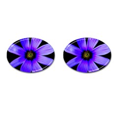 Purple Bloom Cufflinks (oval) by BeachBum