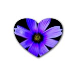 Purple Bloom Drink Coasters 4 Pack (Heart)  Front