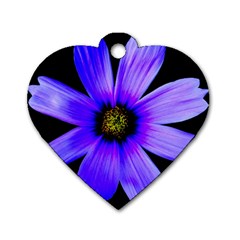 Purple Bloom Dog Tag Heart (one Sided)  by BeachBum