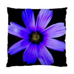 Purple Bloom Cushion Case (single Sided)  by BeachBum