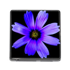 Purple Bloom Memory Card Reader With Storage (square) by BeachBum