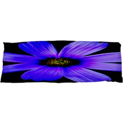 Purple Bloom Samsung Galaxy Nexus S I9020 Hardshell Case by BeachBum