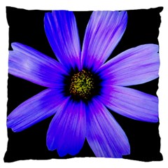 Purple Bloom Large Cushion Case (single Sided)  by BeachBum