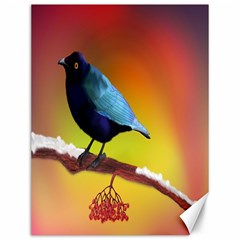 The Blue Bird Canvas 12  X 16  by NoemiDesign