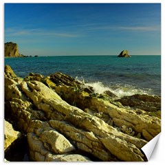 2014 03 15 Durdle Door 261 Canvas 12  X 12  (unframed) by NoemiDesign