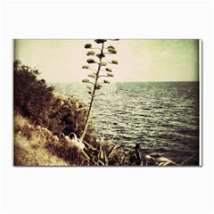 Sète Postcards 5  X 7  (10 Pack)