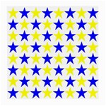 Star Glasses Cloth (Medium) Front