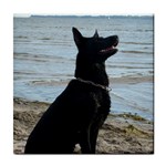 Black German Shepherd Ceramic Tile Front