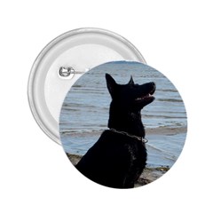 Black German Shepherd 2 25  Button by StuffOrSomething