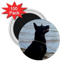 Black German Shepherd 2 25  Button Magnet (100 Pack) by StuffOrSomething