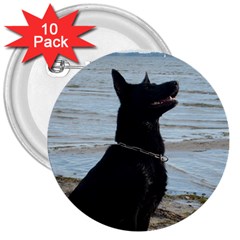 Black German Shepherd 3  Button (10 Pack) by StuffOrSomething