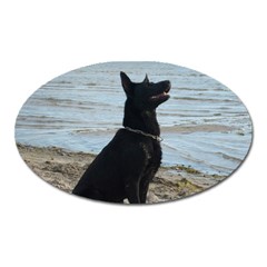 Black German Shepherd Magnet (oval) by StuffOrSomething