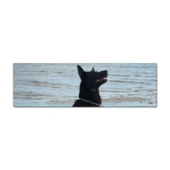 Black German Shepherd Bumper Sticker 10 Pack by StuffOrSomething