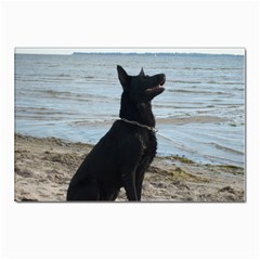 Black German Shepherd Postcard 4 x 6  (10 Pack)