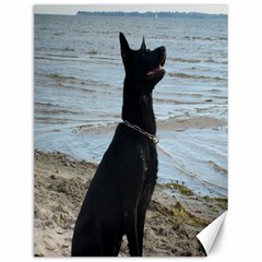 Black German Shepherd Canvas 12  X 16  (unframed) by StuffOrSomething