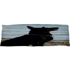 Black German Shepherd Samsung Galaxy S I9008 Hardshell Case by StuffOrSomething