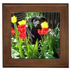 Black GSD Pup Framed Ceramic Tile