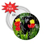 Black GSD Pup 2.25  Button (10 pack) Front