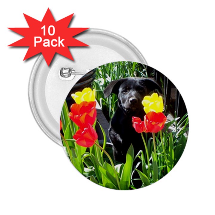 Black GSD Pup 2.25  Button (10 pack)