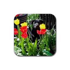 Black GSD Pup Drink Coaster (Square)