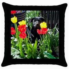 Black GSD Pup Black Throw Pillow Case