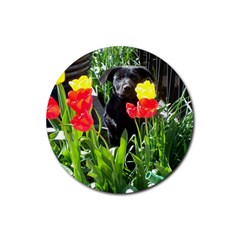 Black GSD Pup Drink Coaster (Round)