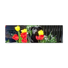 Black GSD Pup Bumper Sticker 10 Pack