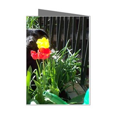 Black GSD Pup Mini Greeting Card (8 Pack)