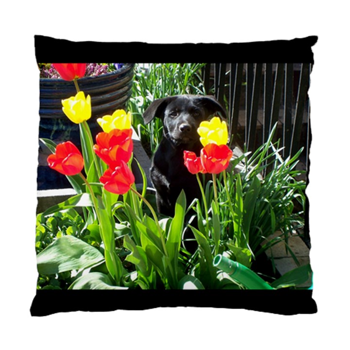 Black GSD Pup Cushion Case (Single Sided) 