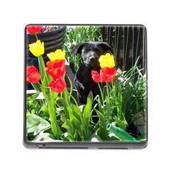 Black GSD Pup Memory Card Reader with Storage (Square)