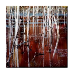 Automn Swamp Ceramic Tile by cgar