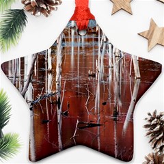 Automn Swamp Star Ornament