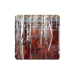 Automn Swamp Magnet (square)