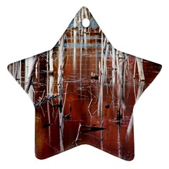 Automn Swamp Star Ornament (two Sides)