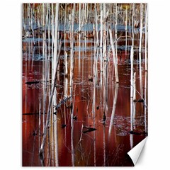 Automn Swamp Canvas 12  X 16  (unframed) by cgar