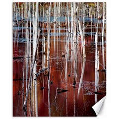 Automn Swamp Canvas 16  X 20  (unframed) by cgar