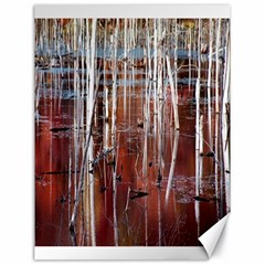 Automn Swamp Canvas 18  X 24  (unframed)