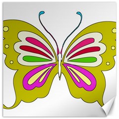 Color Butterfly  Canvas 12  X 12  (unframed)