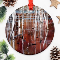 Swamp2 Filtered Round Ornament by cgar